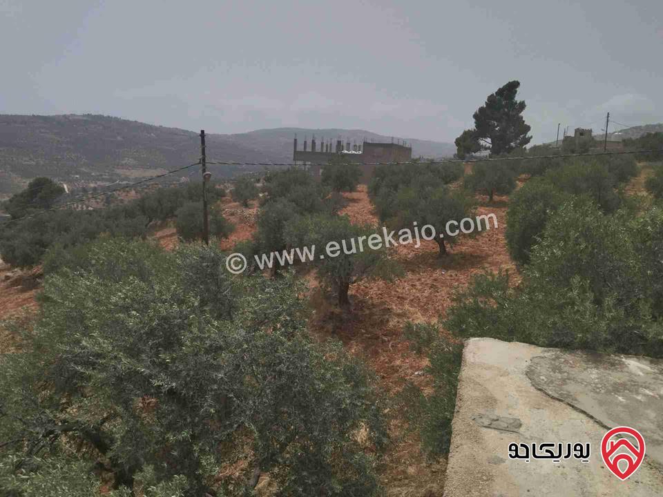 أرض مرتفعة ومطلة مساحة 1 دونم و 800م للبيع في جرش