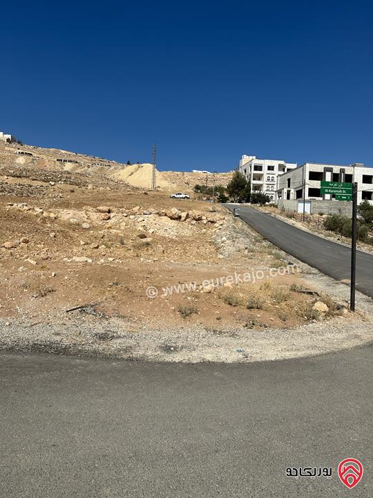 أرض مساحة 1 دونم و 60م للبيع في صافوط شارع الاردن - كاشفة لكل المطل