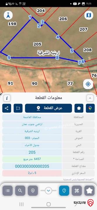 قطعة ارض مساحة 7 دونم و 300م للبيع في عمان - أرينبه الشرقية 