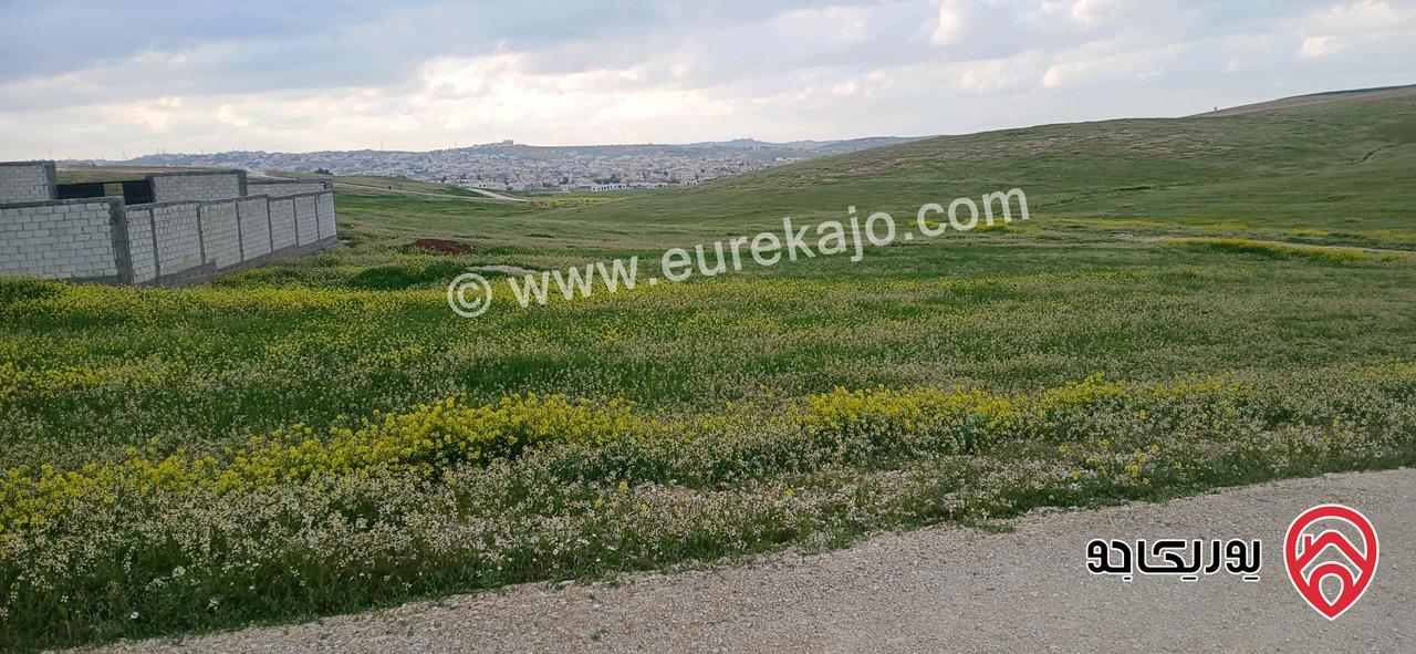 أرض مساحة 500م للبيع في عمان - الخشافية
