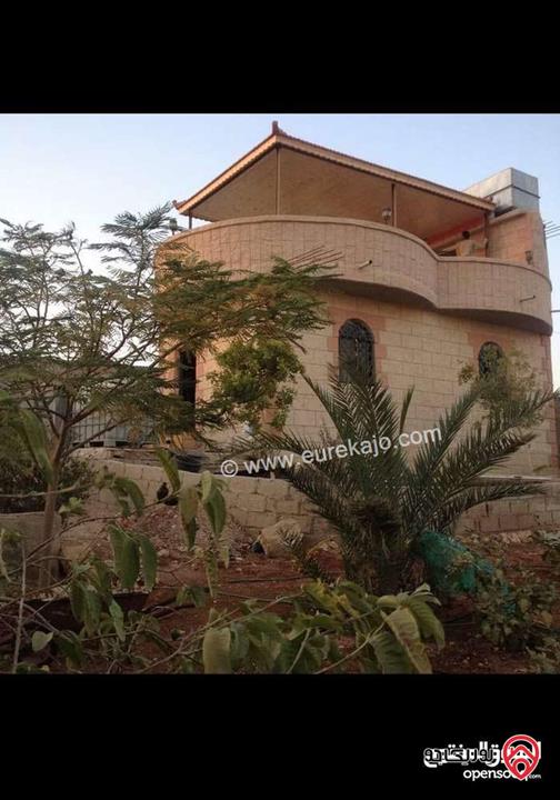 مزرعة مساحة البناء 75م على أرض 391م للبيع في البحر الميت بمنطقة الكرامة بسعر مناسب