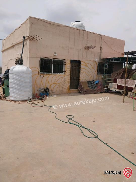 مزرعة مساحة الأرض 5217م وفيها بناء 80م للبيع في المفرق - بلعما الزيتونة 