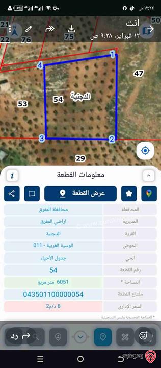 أرض زراعية مساحة 6 دونم للبيع في المفرق الدجنية