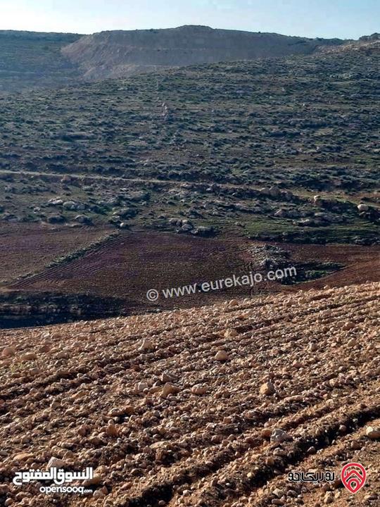 قطعة ارض زراعية مساحة 3 دونم و 400م للبيع في المفرق عين والمعمريه (بلعما )
