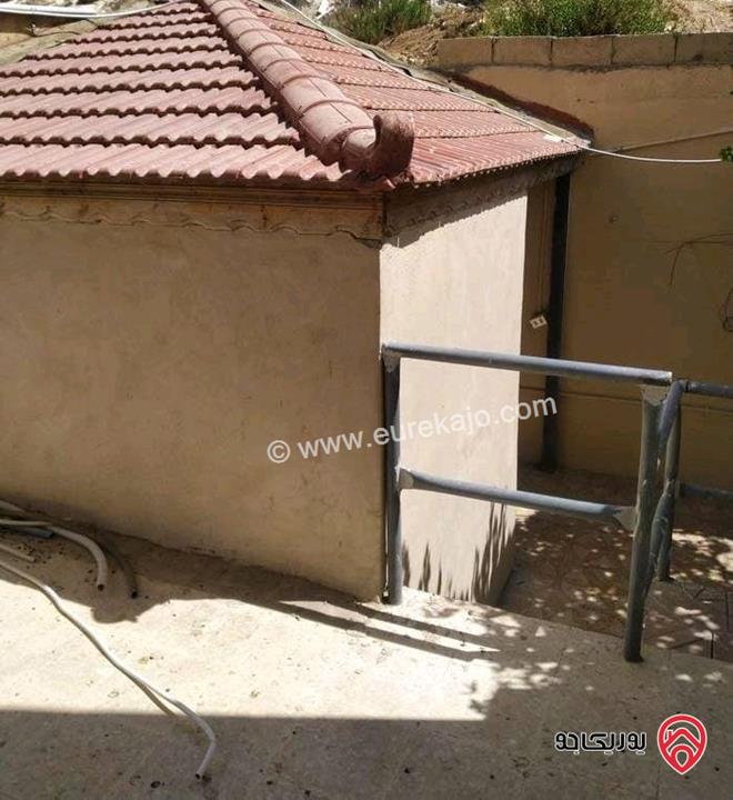 شقة فارغة أرضية مساحة 225م داخلي و 100م خارجي للايجار في عمان - الجبيهة