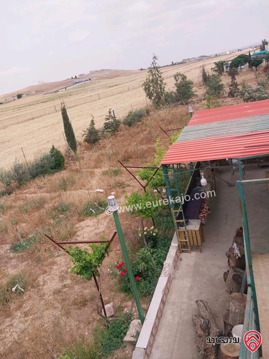 مزرعة مساحة الأرض 5217م وفيها بناء 80م للبيع في المفرق - بلعما الزيتونة 