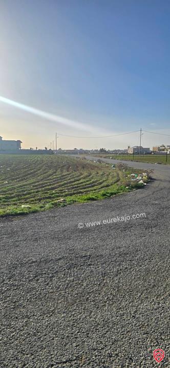 قطعة مميزة مساحة 1 دونم و 170م للبيع في اربد - من اراضي الرمثا مقابل ترخيص الرمثا شرق الحديقة 