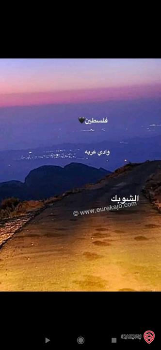 قطعة أرض مساحة 7 دونم و 500م للبيع في لواء الشوبك - قرية الجهير