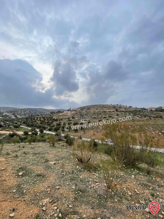 قطعة ارض مساحة 3 دونم و 402م للبيع في الزرقاء - منطقة بيرين صروت تبعد عن شفا بدران جامعة العلوم التطبيقية 15 دقيقة 