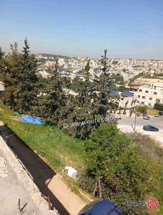 ارض مساحة 2 دونم للبيع في عمان - عرقوب خلدا 