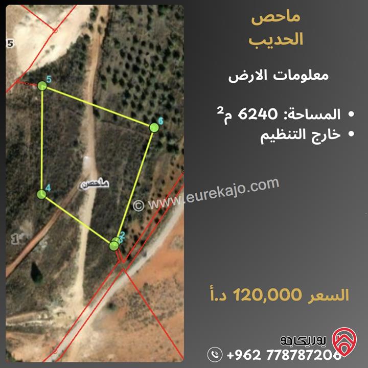 أرض مساحة 6 دونم و 240م للبيع في ماحص - خارج التنظيم