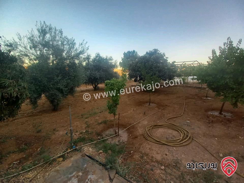 فيلا مساحة 500م على أرض 1900م للبيع في عمان - منطقة ام الدنانير 