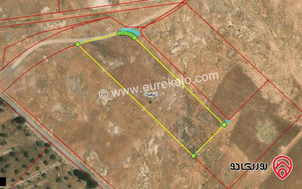 قطعة ارض 4739م للبيع في اربد غرب مدينة النعيمة حوض عصارة تلاع الكرك  