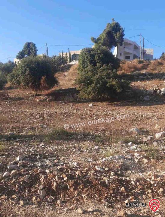 قطعة ارض مميزة مساحة 767م للبيع في عمان - بدر الجديدة من المالك مباشرة