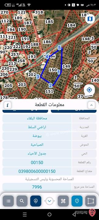 قطعة ارض مساحة 4 دونمات مزروعة زيتون وخدمات واصلة على الشارع العام للبيع في محافظة البلقاء بسعر 70000 دينار فقط
