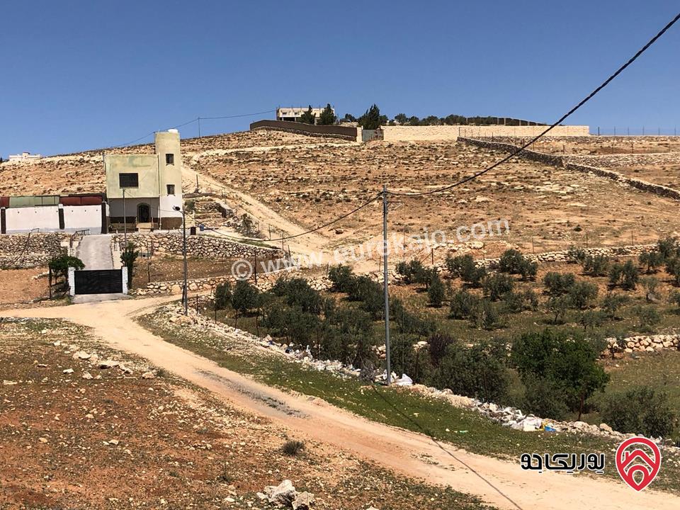 ارض مساحة 4 دونم للبيع في المفرق - بلعما - عين والمعمرية 