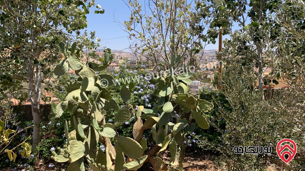 مزرعة مساحة الأرض 2 دونم للبيع بدون منزل في جرش حي الجبارات