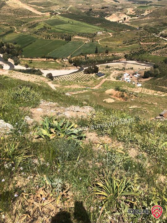 أرض زراعية مساحة 36 دونم للبيع في جرش - جبه