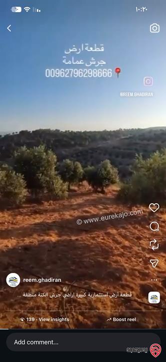 قطعة أرض مساحة 10 دونم للبيع في جرش