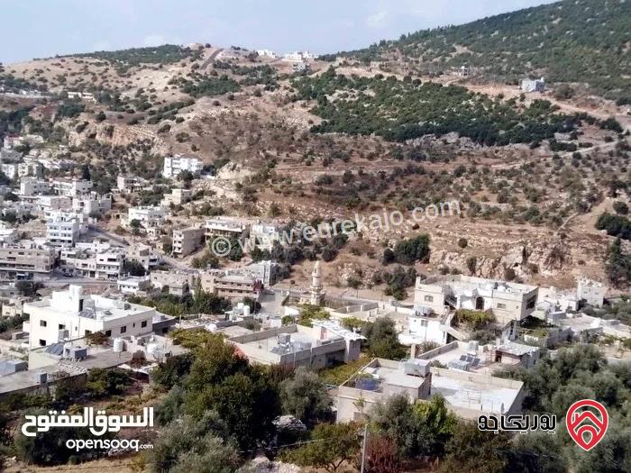 أرض مساحة 2 دونم و 197م للبيع في عجلون - عين جنا بإطلالة مباشرة على قلعة عجلون