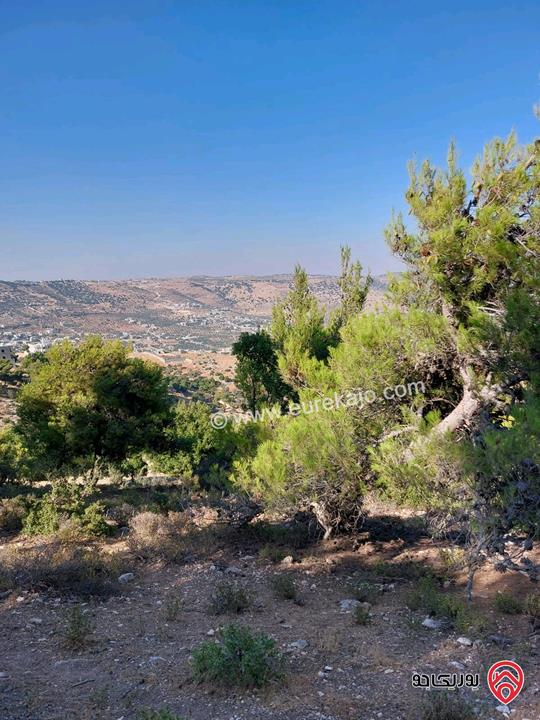 قطعة ارض مساحة 4084م للبيع في جبال جرش - سوف