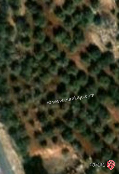 قطعة أرض مساحة 2100م بثمن نمرة للبيع في عمان - بدر الجديدة