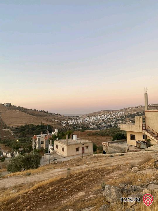 قطعة ارض مميزة مساحة 1 دونم للبيع في الزرقاء - بيرين