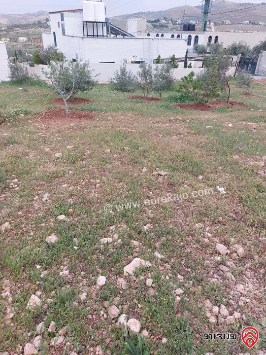 أرض مساحة 1009م للبيع في الزرقاء - بيرين ام البيار 