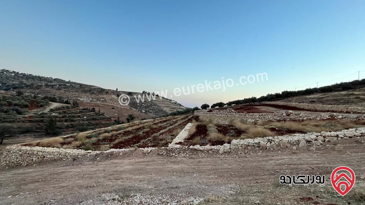 أرض مساحة 5 دونم و 437م للبيع من أراضي بدر الجديدة 
