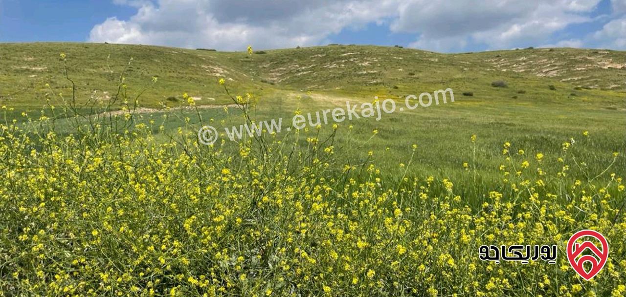 أرض مساحة 500م للبيع في اربد