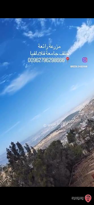 مزرعة فاخرة مساحة 5 دونم للبيع في جرش خلف جامعة فيلادلفيا منطقة تلعة الرز 