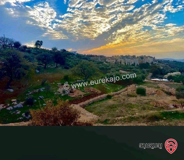 أرض مساحة 461م للبيع من أراضي غرب عمان - بدر الجديدة