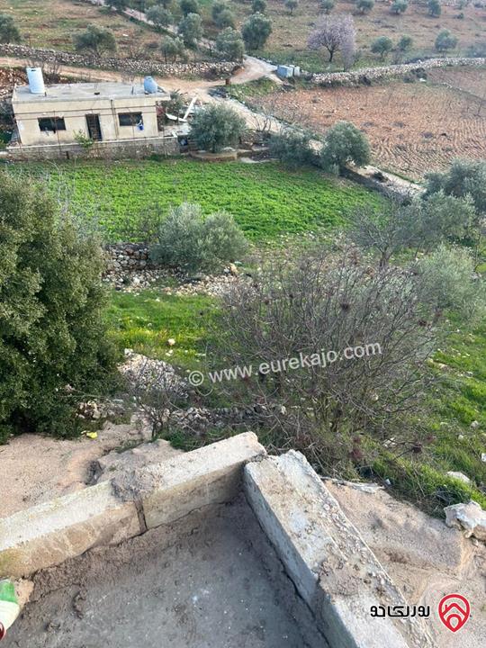 ارض مساحة 1 دونم و 982م للبيع في عجلون عنجرة سرابيس