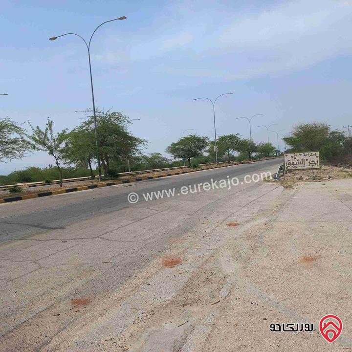 قطعة ارض تنظيم شاليهات مساحة 1049م للبيع في البحر الميت - السويمة