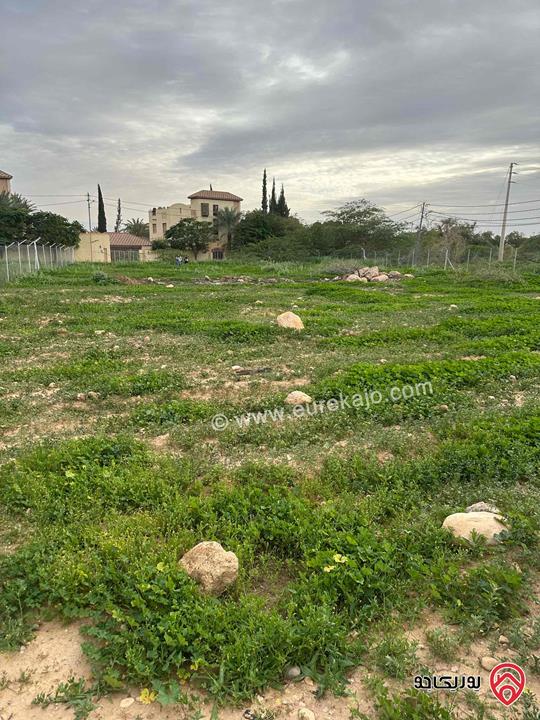 ارض مساحة 1 دونم و 904م للبيع في البلقاء - الشونة الجنوبية