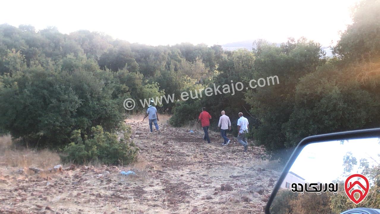 قطعة أرض مساحة 2 دونم و 892م للبيع في عجلون عين جنا 