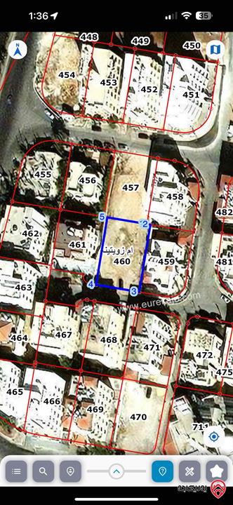 ارض مساحة 715م للبيع في عمان - الجبيهة أم زويتينة