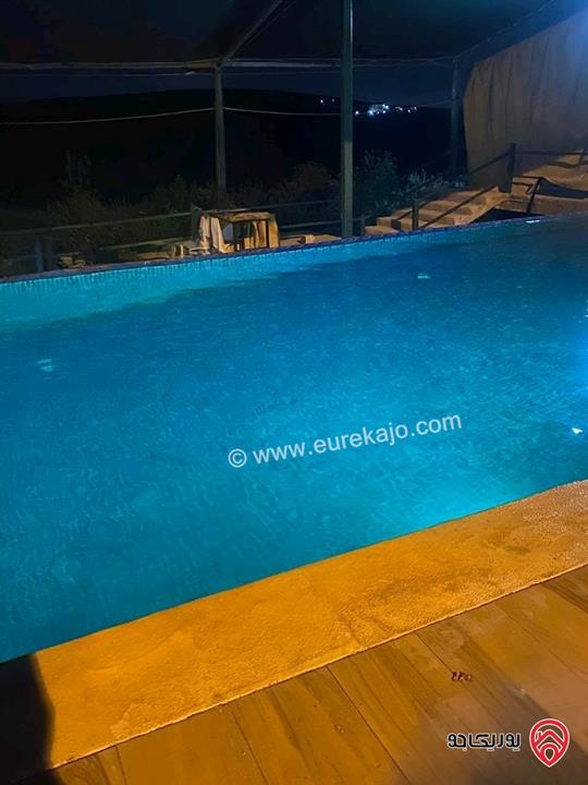 مزرعة مساحة الأرض 4 دونم و 60م للبيع في المفرق - بلعما مع أشجار زيتون مع أشجار زينة