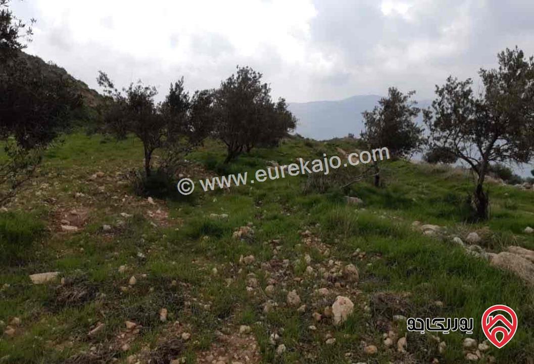 يوريكا جو - 66183 قطعة ارض مساحة 4 دونم و 450م للبيع في عمان