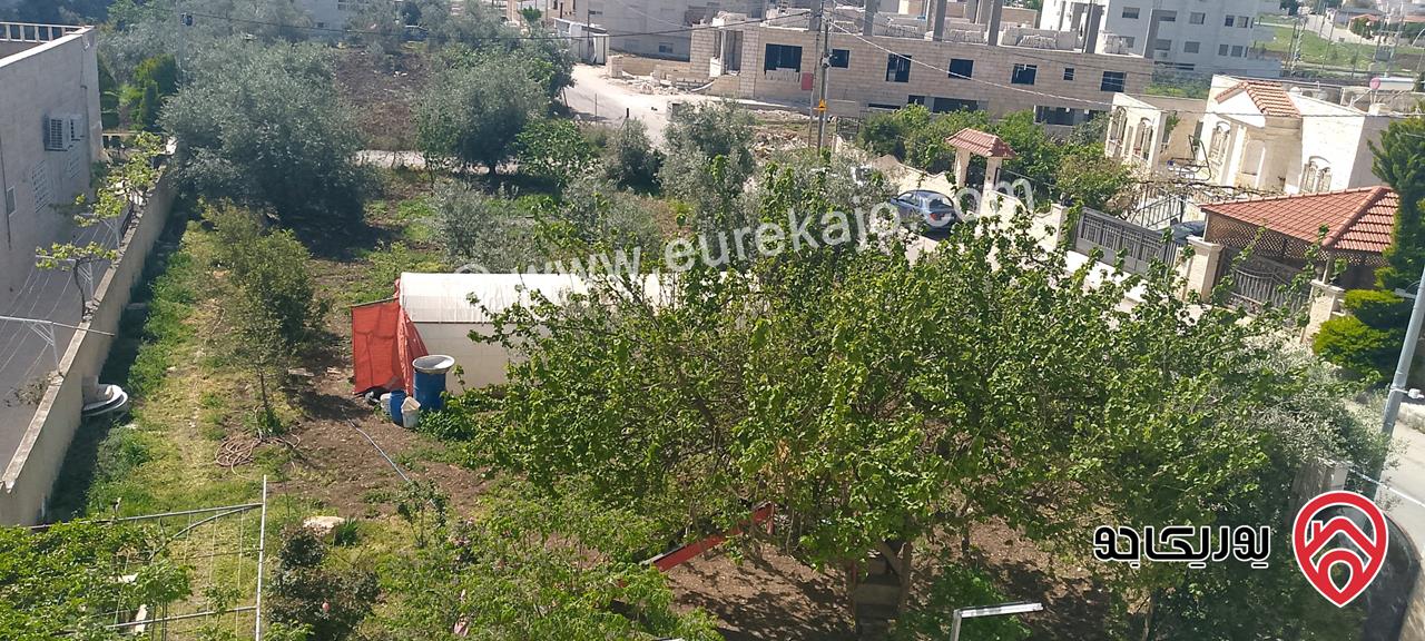 منزل مستقل للبيع في إربد- منطقه الرابية بالقرب من قصر العوادين مساحة 500م على أرض 973م