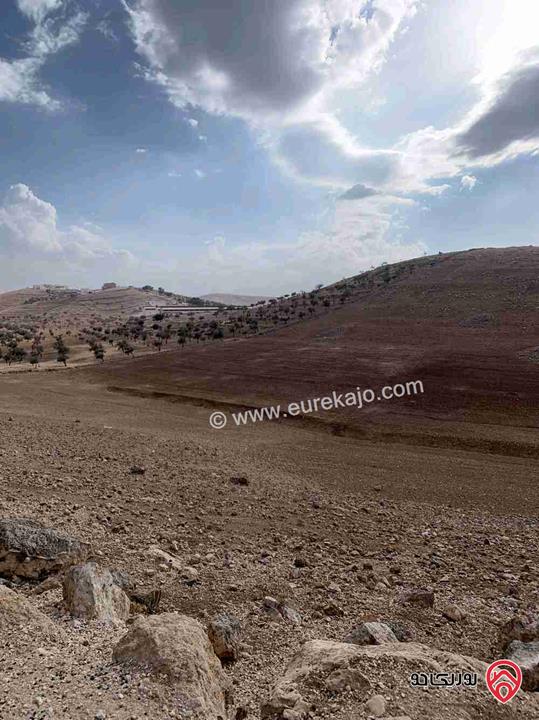 ارض مساحة 12 دونم للبيع في جرش - منطقة قفقفا 