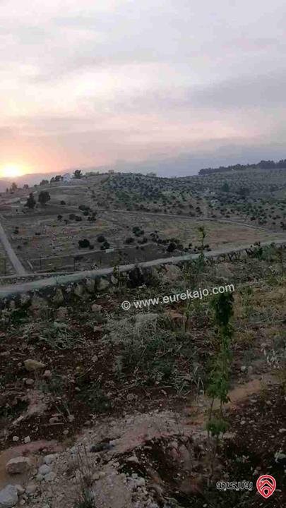 مزرعة مساحة 3400م للبيع في شرق جرش منطقة شاليهات عالية ومطلة