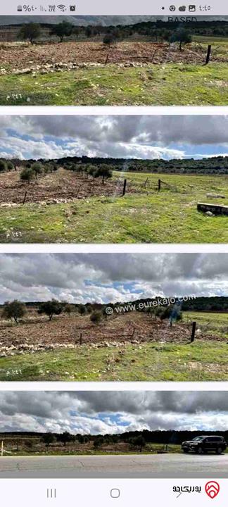 قطعة أرض مساحة 6 دونم للبيع في اربد الشارع الرئيسي بعد مثلث صمد 