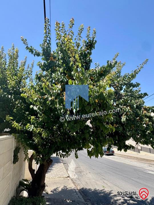 فيلا فاخرة مساحة 750م على ارض 500م للبيع في عمان - دابوق تشطيب سوبر ديلوكس