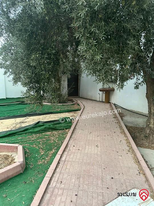 بيت مستقل مساحة 600م على أرض 1902م للبيع في اربد - الرمثا من المالك مباشرة 