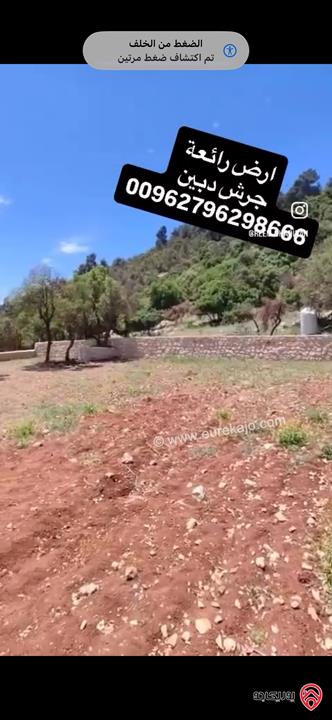 قطعة ارض مميزة مسساحة 2 دونم للبيع اراضي جرش دبين 
