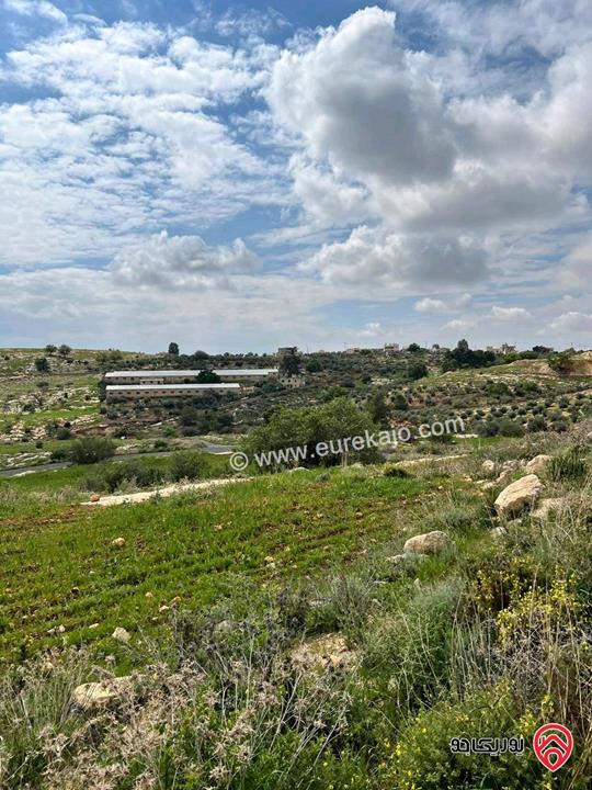 أرض للبيع في غرب عمان - منطقة بدر الجديدة  حوض الحكر البصه مساحة 602م