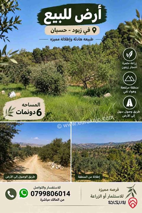 أرض مساحة 6 دونم للبيع في عمان - ناعور - زبود