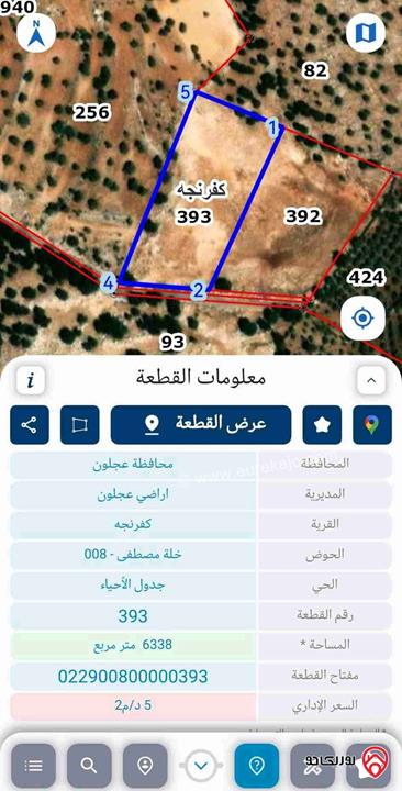 أرض مساحة 6 دونم و 338م للبيع في عجلون - كفرنجه