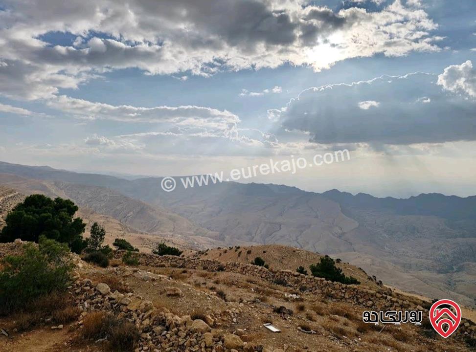 قطعة أرض مساحة 7 دونم و 500م للبيع في لواء الشوبك - قرية الجهير